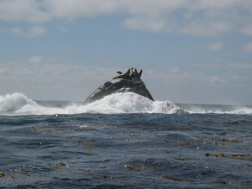  Gwaii Haanas 32