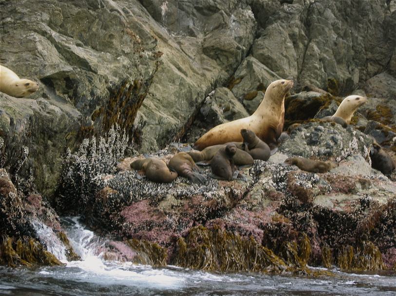  Gwaii Haanas 33