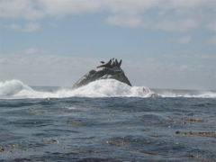 Gwaii Haanas 33