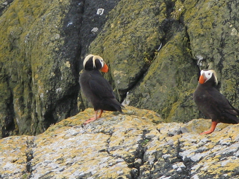  Gwaii Haanas 66