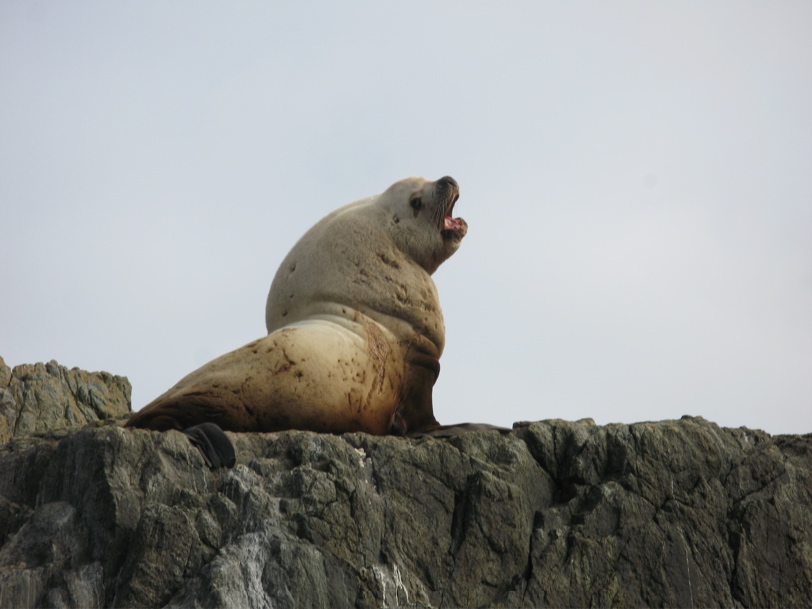  Gwaii Haanas 71