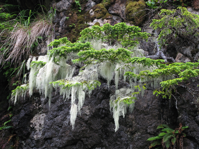  Gwaii Haanas 73