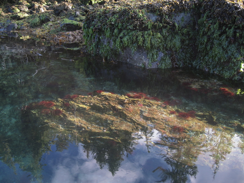  Gwaii Haanas 76