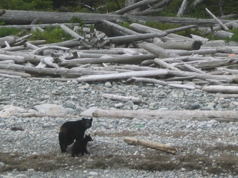  Gwaii Haanas 77