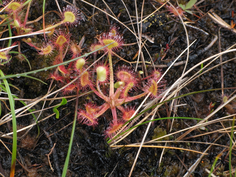  Gwaii Haanas 58