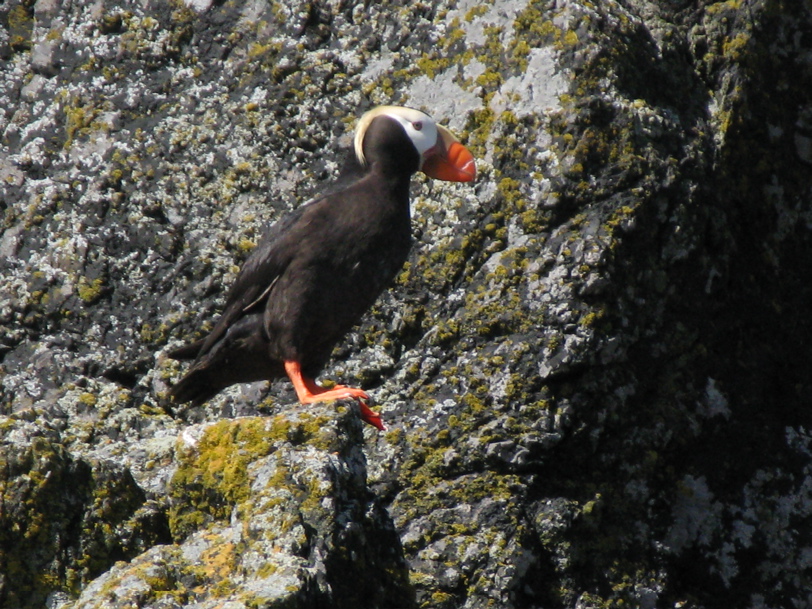  Gwaii Haanas 64