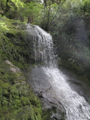 Gwaii Haanas 56