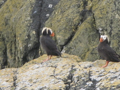 Gwaii Haanas 66