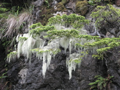 Gwaii Haanas 73