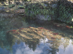 Gwaii Haanas 76