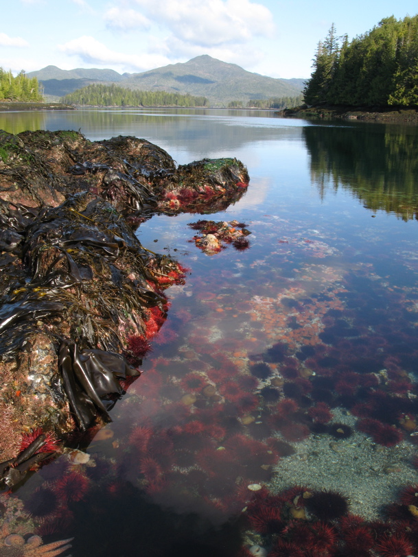 Gwaii Haanas 96