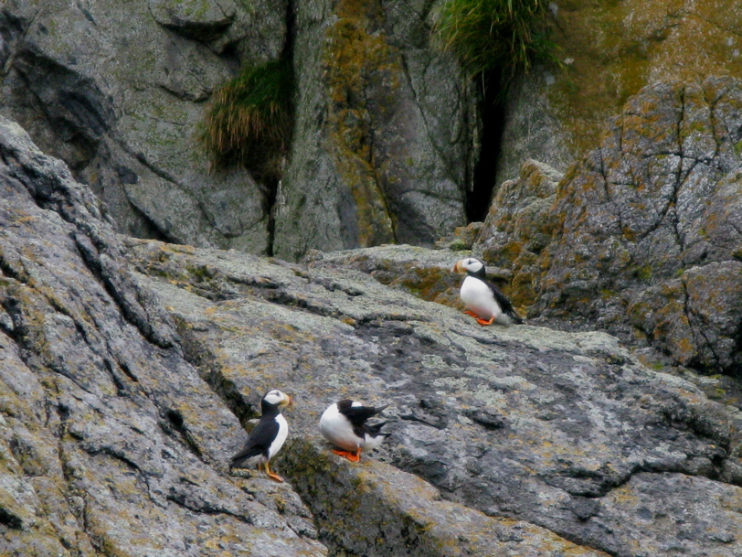 Gwaii Haanas 109