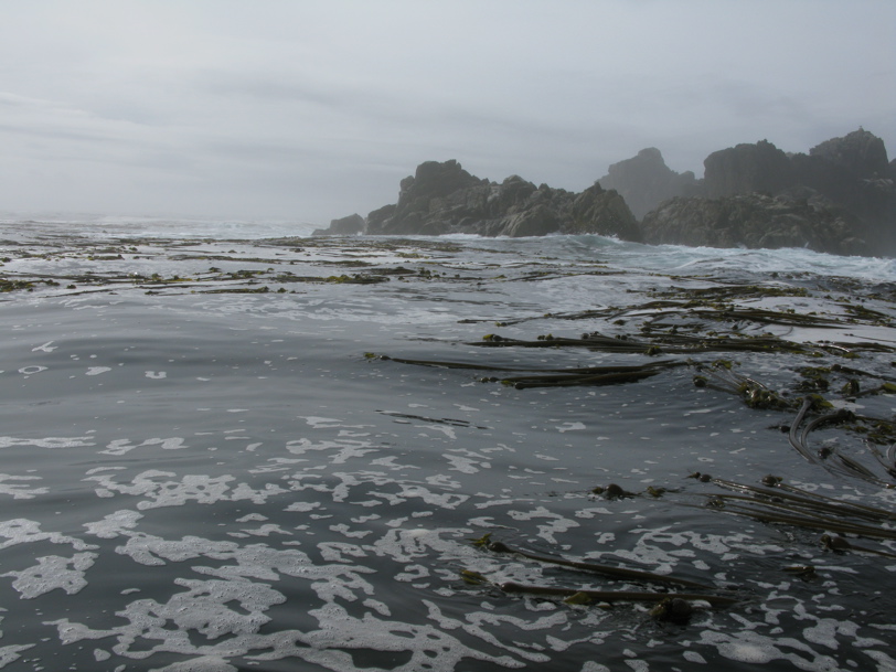 Gwaii Haanas 115