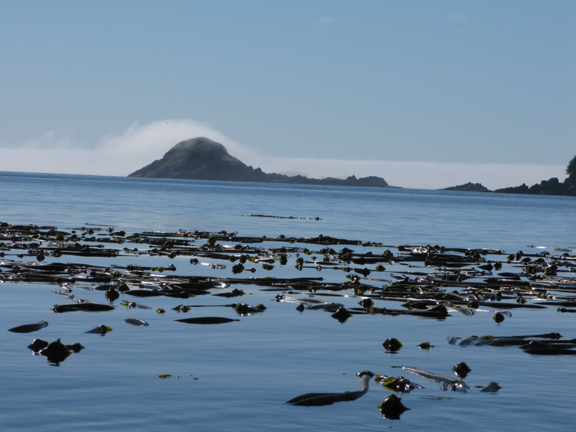 Gwaii Haanas 117