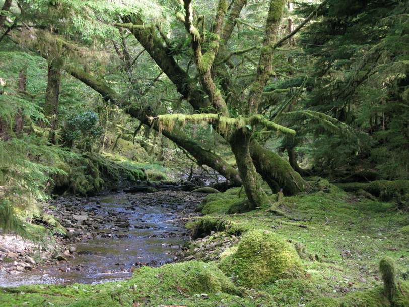 Gwaii Haanas 118