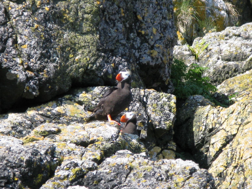 Gwaii Haanas 120