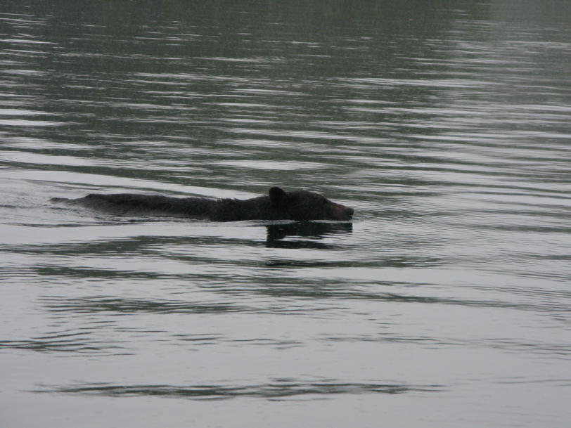 Gwaii Haanas 122