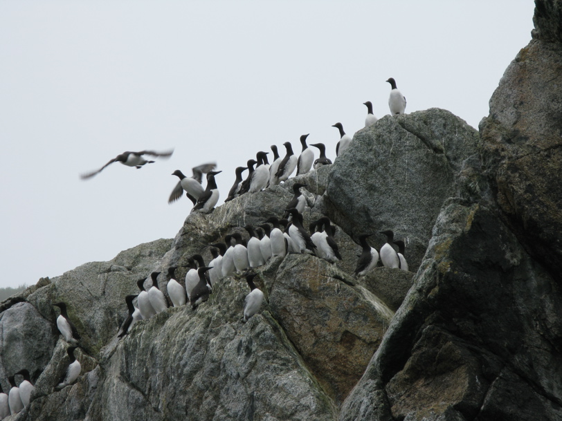 Gwaii Haanas 104