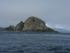 Gwaii Haanas 108