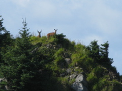 Gwaii Haanas 110