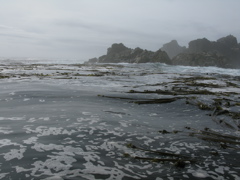 Gwaii Haanas 115