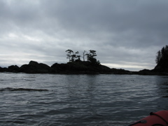 Gwaii Haanas 119