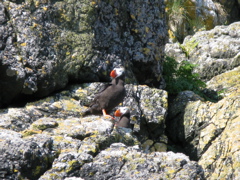 Gwaii Haanas 120