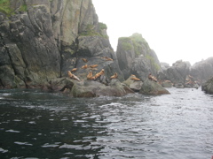 Gwaii Haanas 121