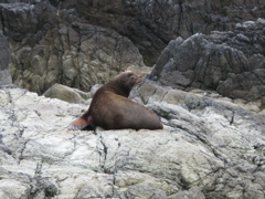 Gwaii Haanas 103