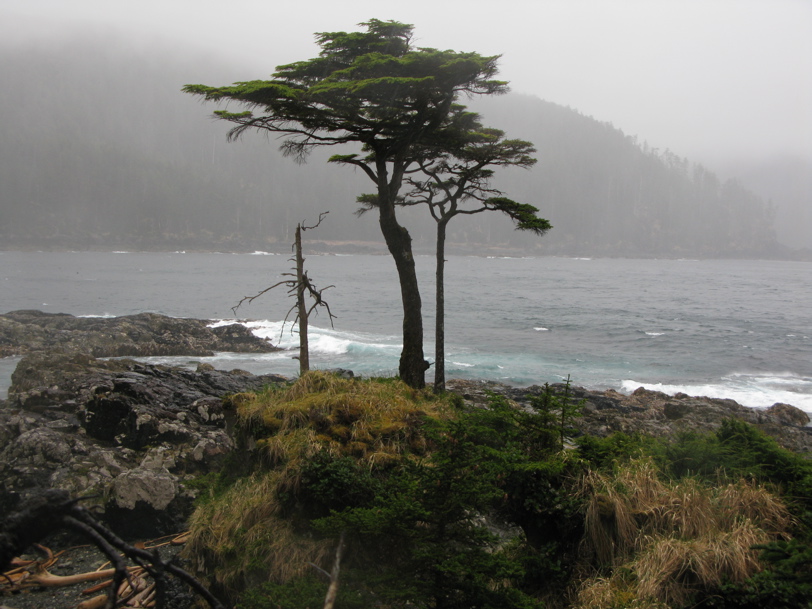 Gwaii Haanas 138