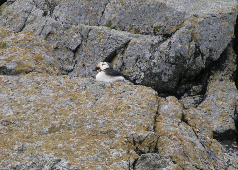 Gwaii Haanas 140