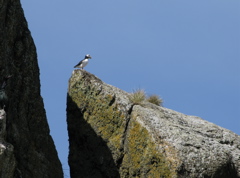 Gwaii Haanas 142