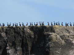 Gwaii Haanas 147