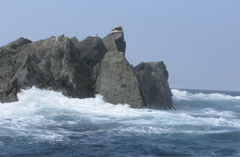 Gwaii Haanas 134