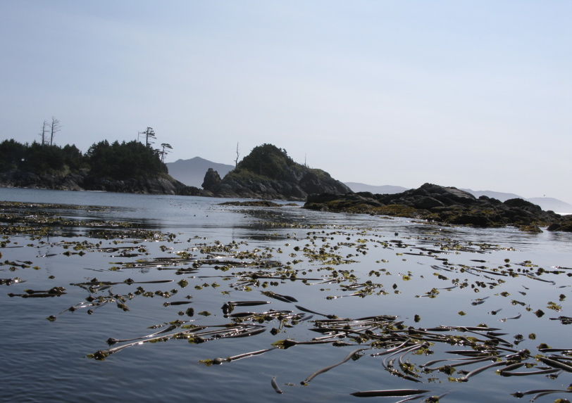 Gwaii Haanas 179