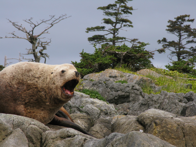 Gwaii Haanas 180