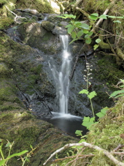 Gwaii Haanas 169