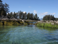 Gwaii Haanas 170