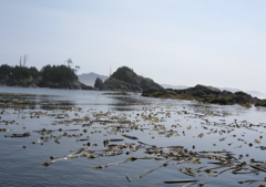 Gwaii Haanas 179