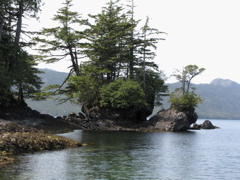 Gwaii Haanas 183