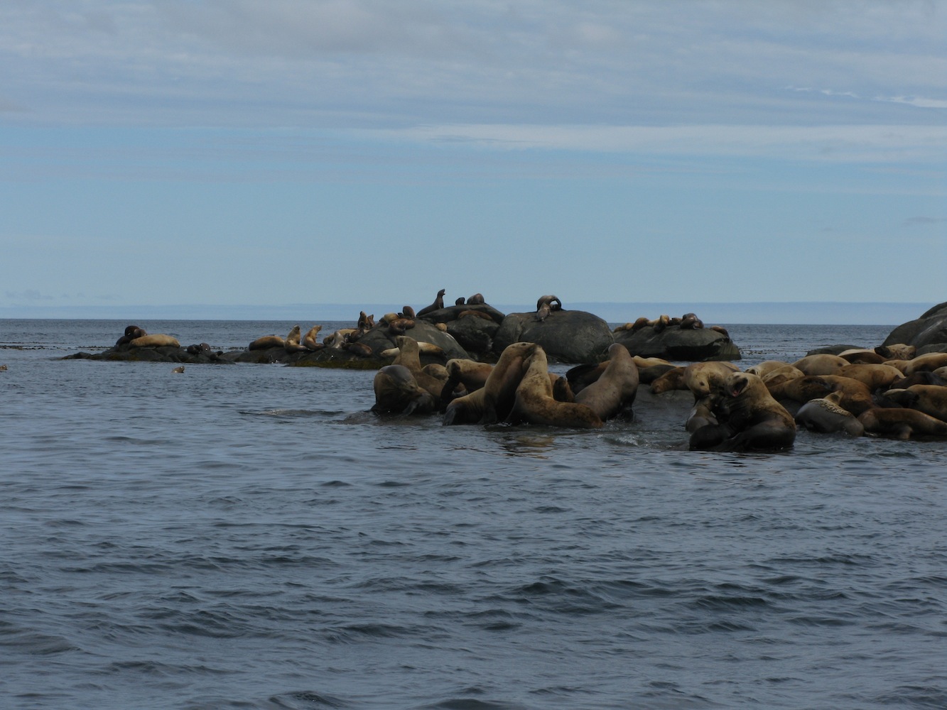 Gwaii Haanas 202