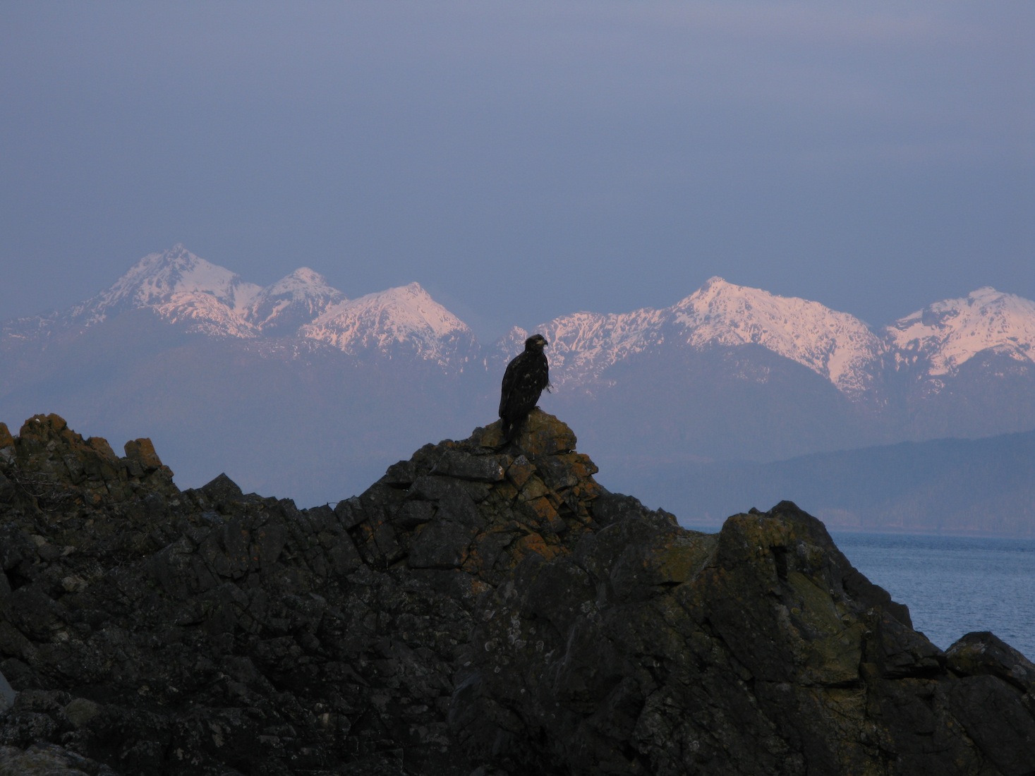 Gwaii Haanas 194