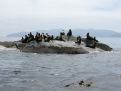 Gwaii Haanas 200