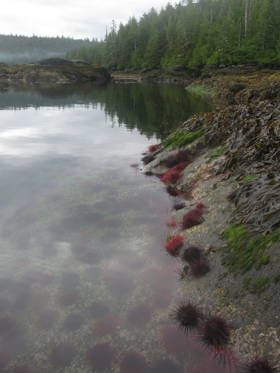 Gwaii Haanas 223