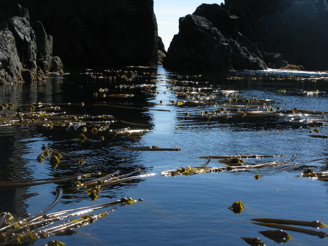 Gwaii Haanas 228