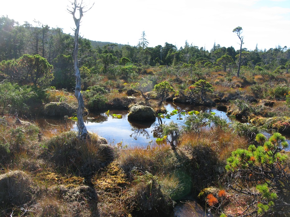 Gwaii Haanas 234