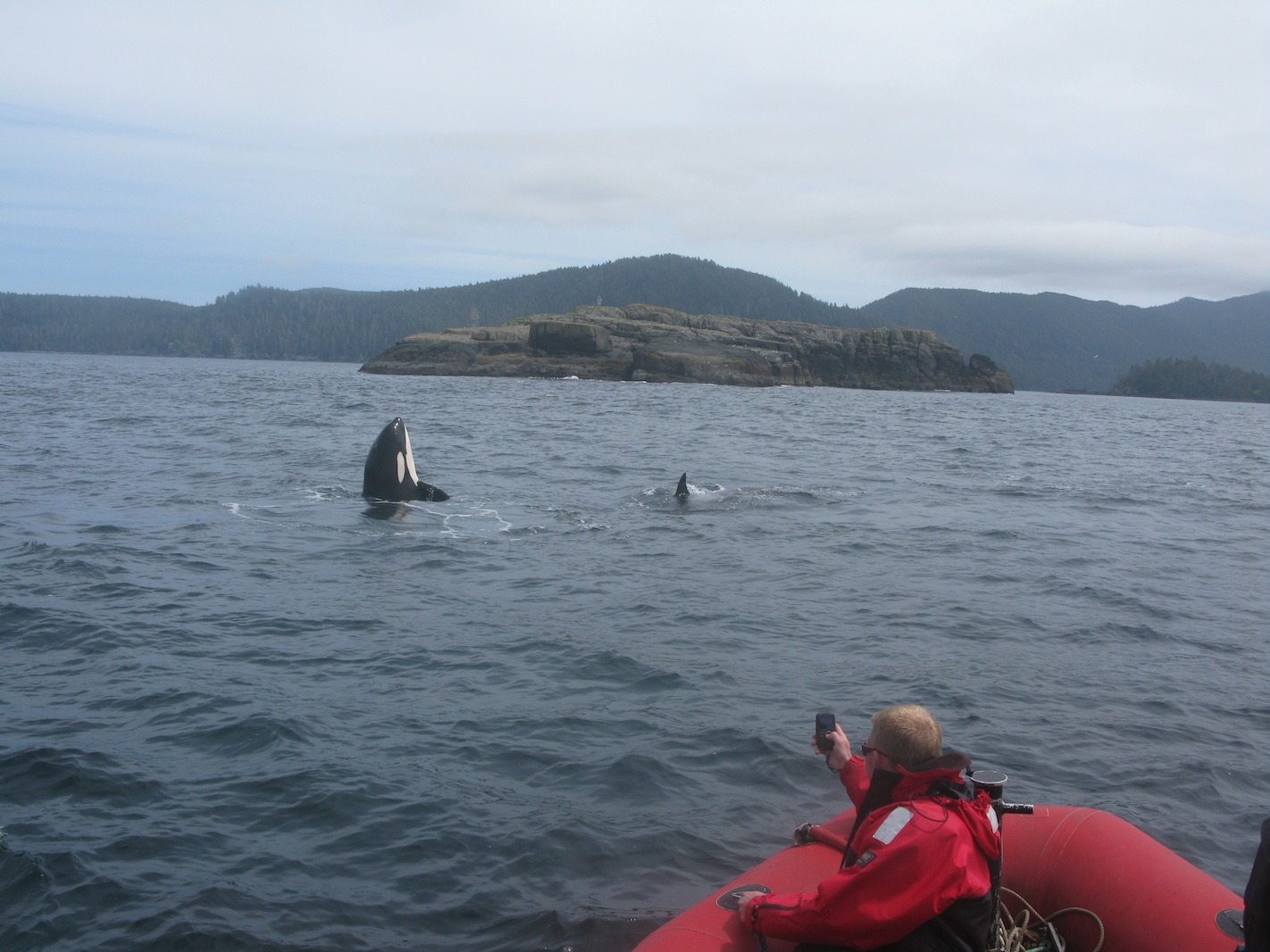 Gwaii Haanas 216