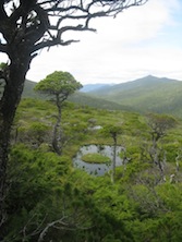 Gwaii Haanas 221