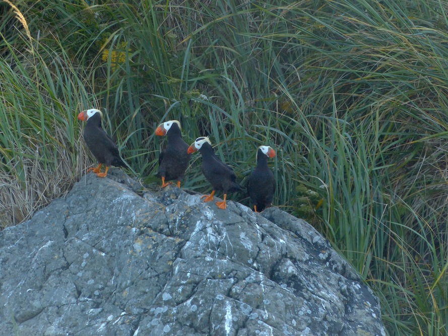 Gwaii Haanas 261