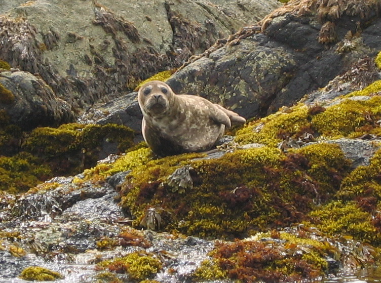 Gwaii Haanas 11